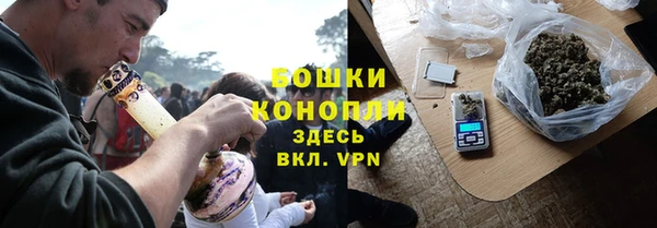 индика Богородицк