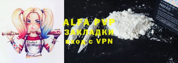 индика Богородицк