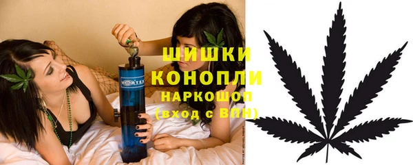 индика Богородицк
