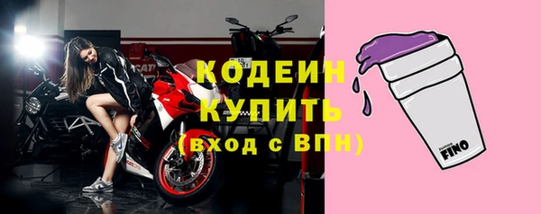 индика Богородицк