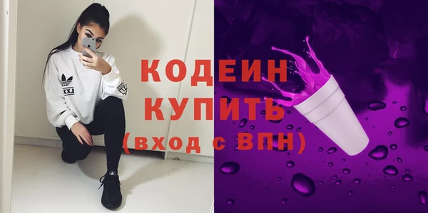 индика Богородицк