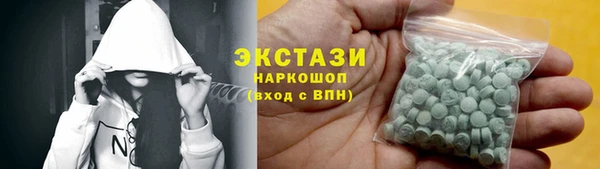 индика Богородицк