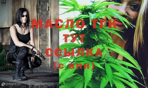 индика Богородицк