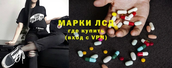индика Богородицк