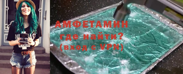 индика Богородицк