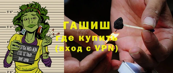 индика Богородицк