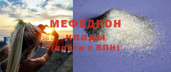 индика Богородицк