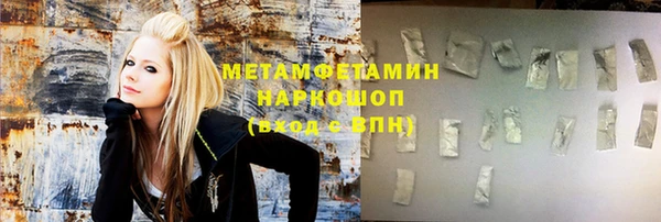 индика Богородицк