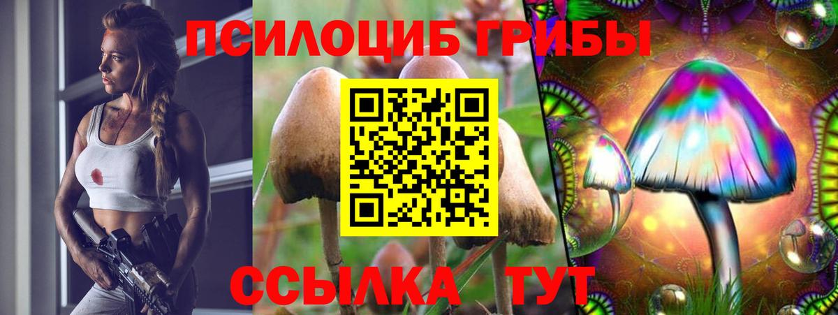 Галлюциногенные грибы Psilocybe  Вход с VPN  Малоярославец  Галлюциногенные грибы мухоморы 