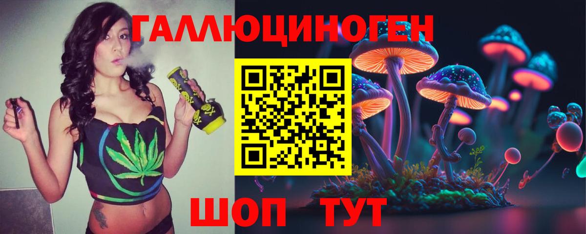 Псилоцибиновые грибы Psilocybe Малоярославец